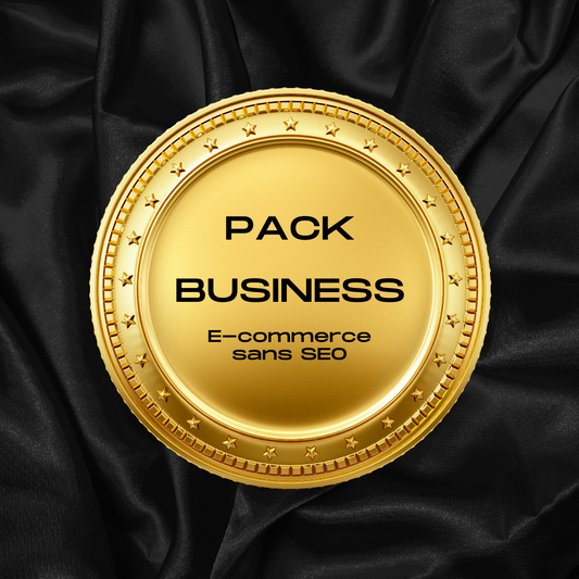 Pack Business – E-commerce sans SEO